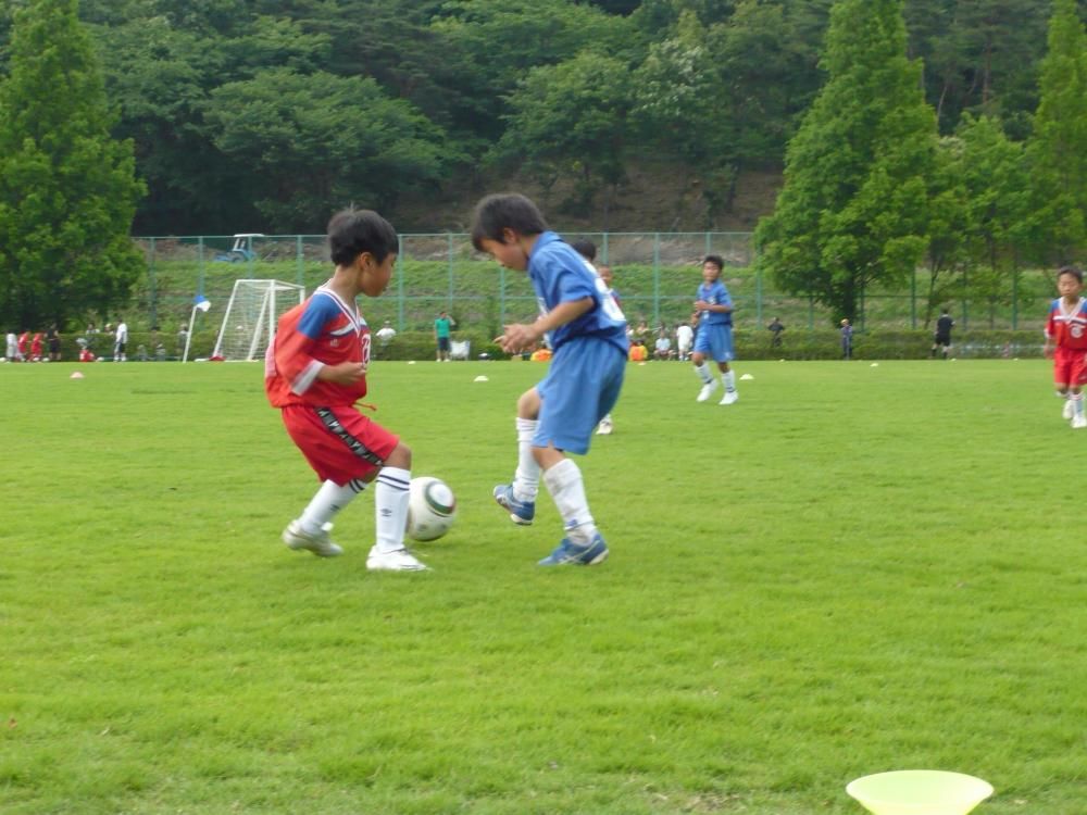 2010年度の活動写真 5