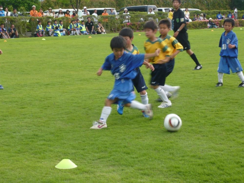 2010年度の活動写真 7