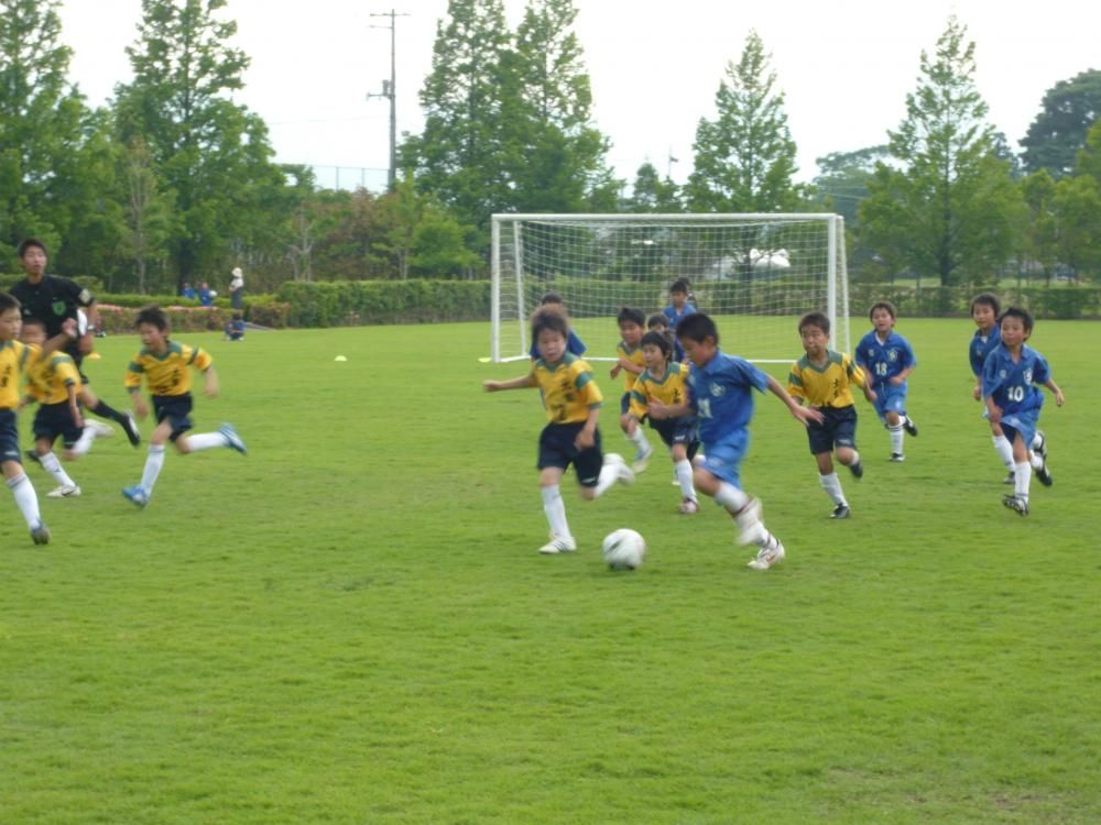 2010年度の活動写真 8
