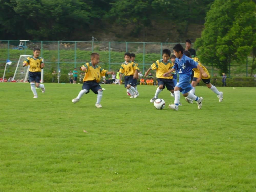 2010年度の活動写真 9