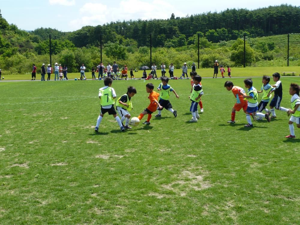 2010年度の活動写真 15