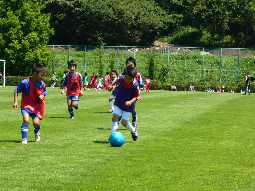 2010年度の活動写真 16