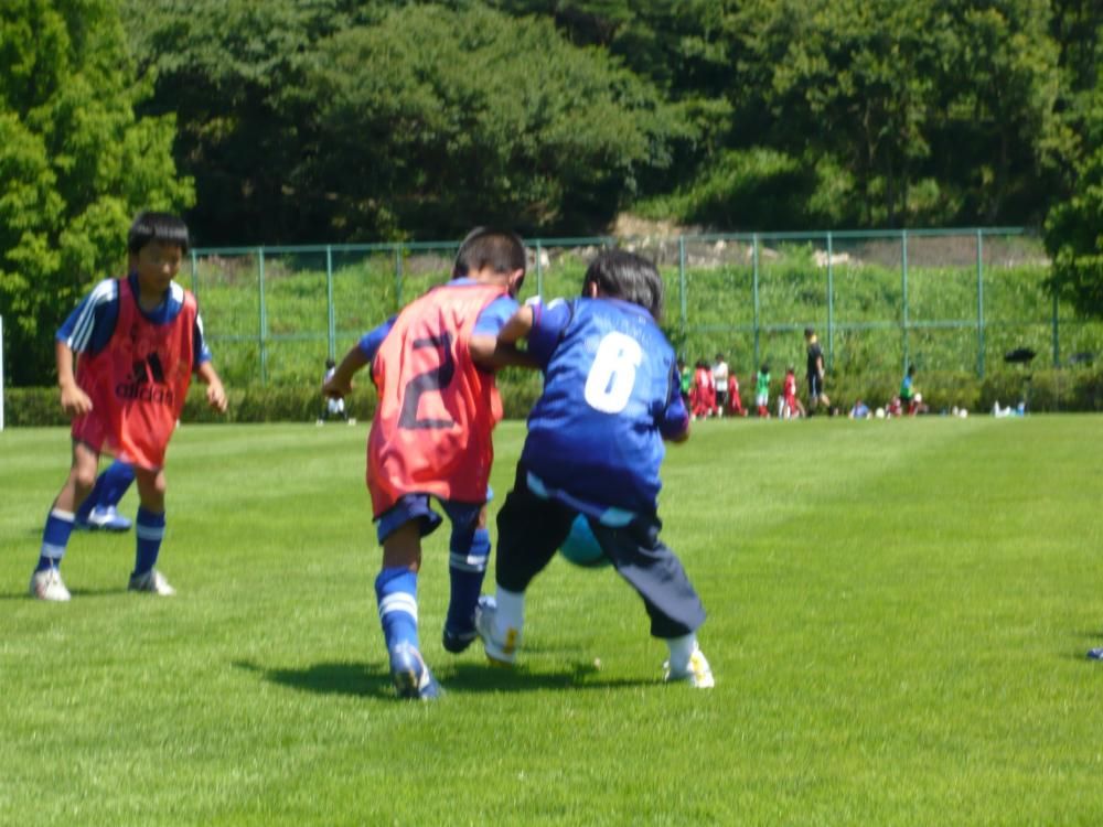 2010年度の活動写真 17