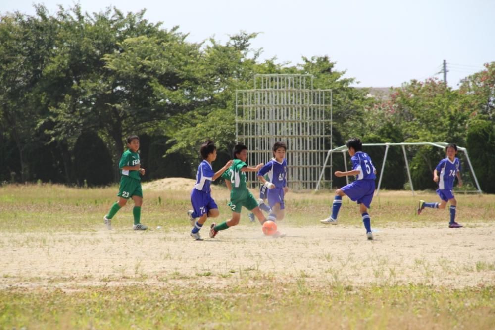 2011年度の活動写真 11