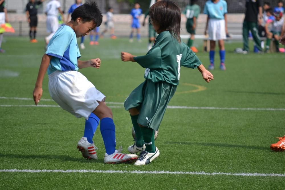 2012年度の活動写真 13