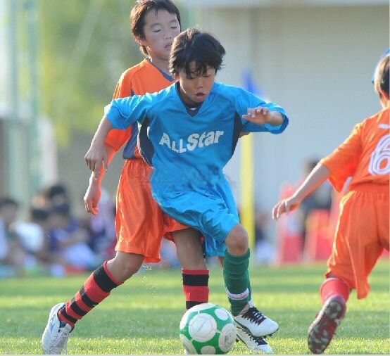 2014年度の活動写真 22