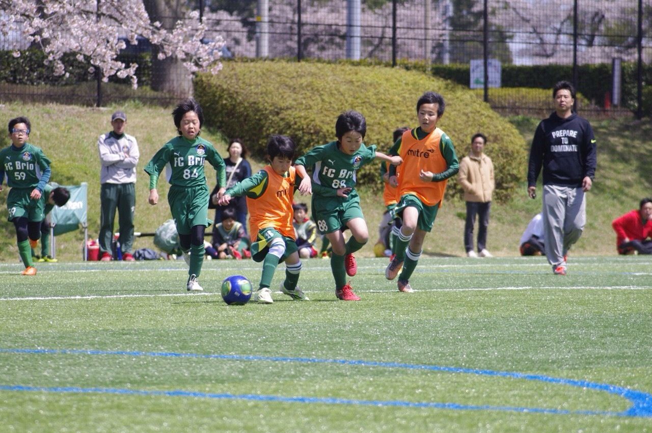 2015年度の活動写真 17