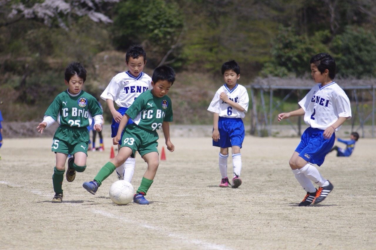 2015年度の活動写真 20