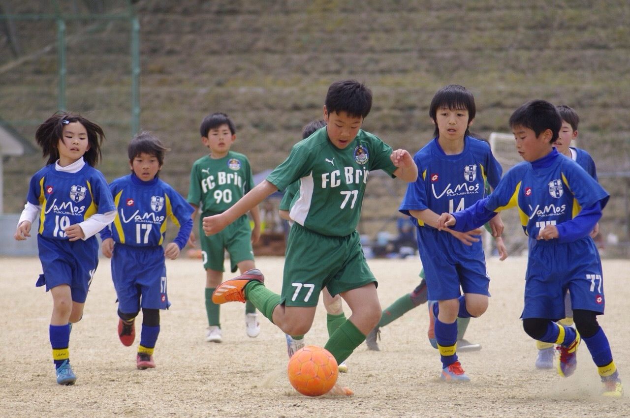 2015年度の活動写真 21