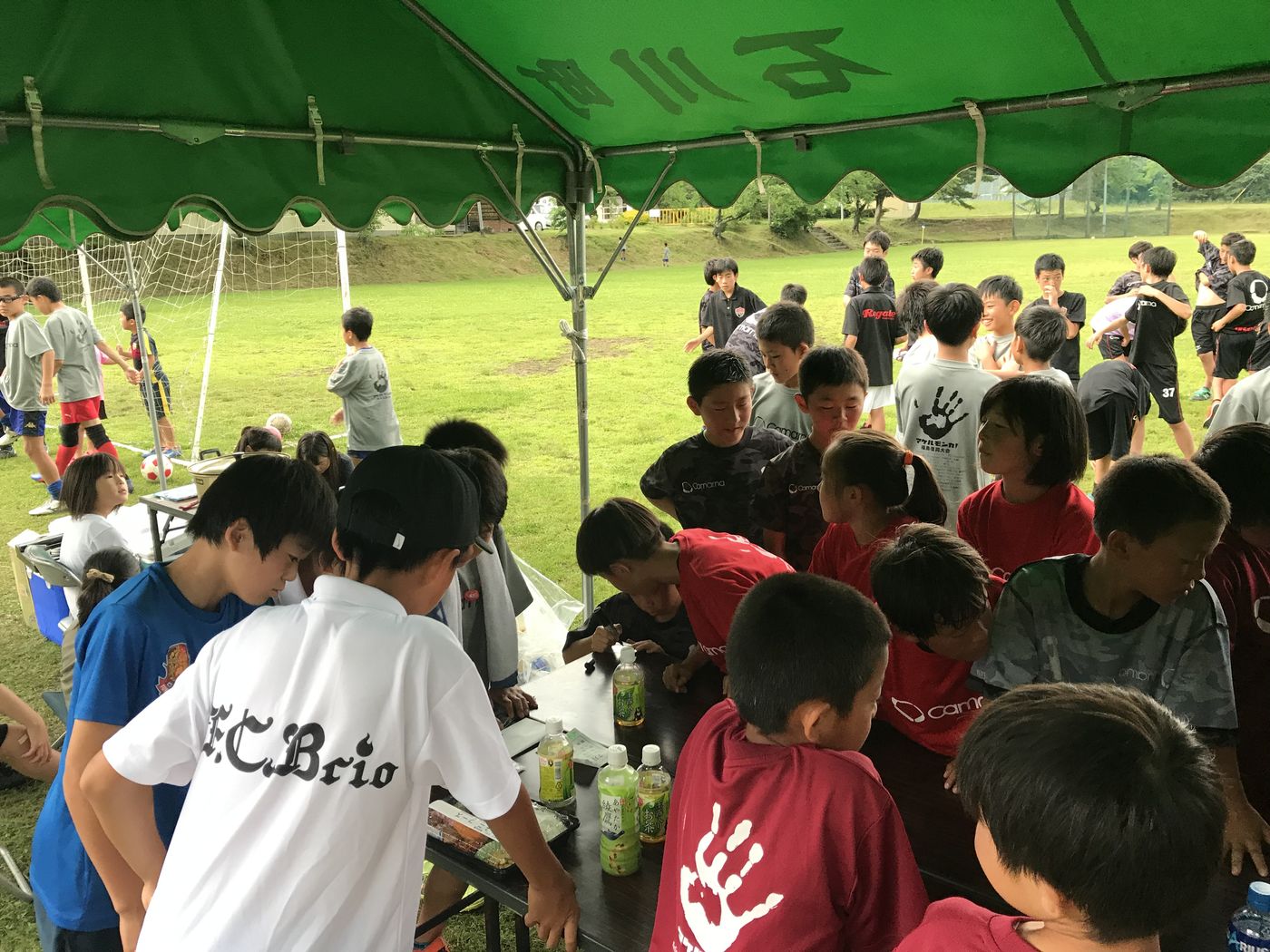 2019年度の活動写真 7